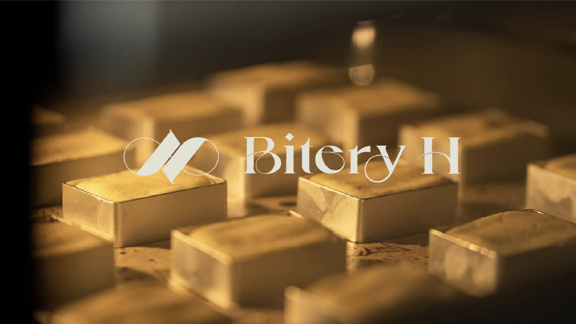 Bitery H