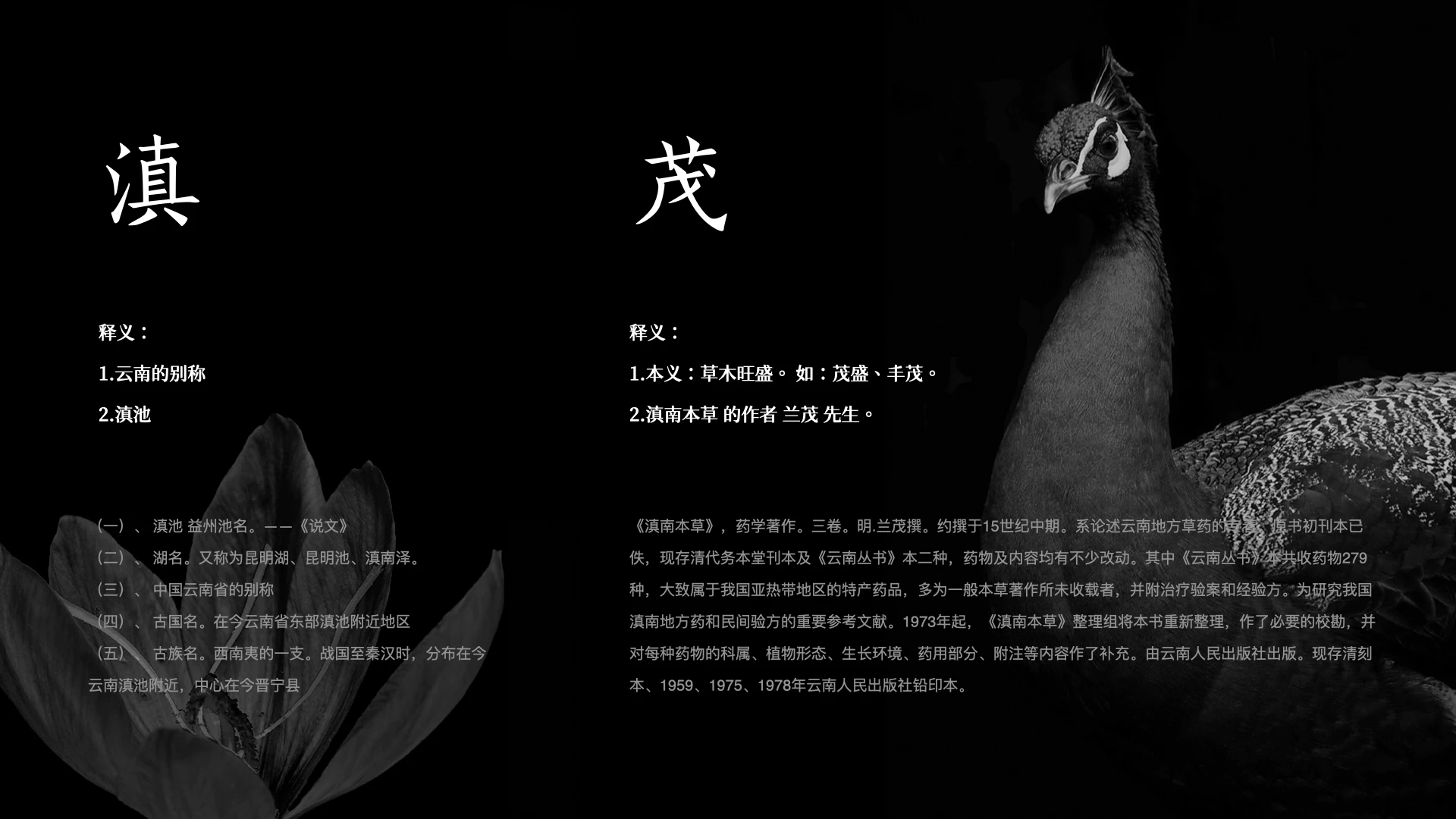 DIANMAO 滇茂 1.1