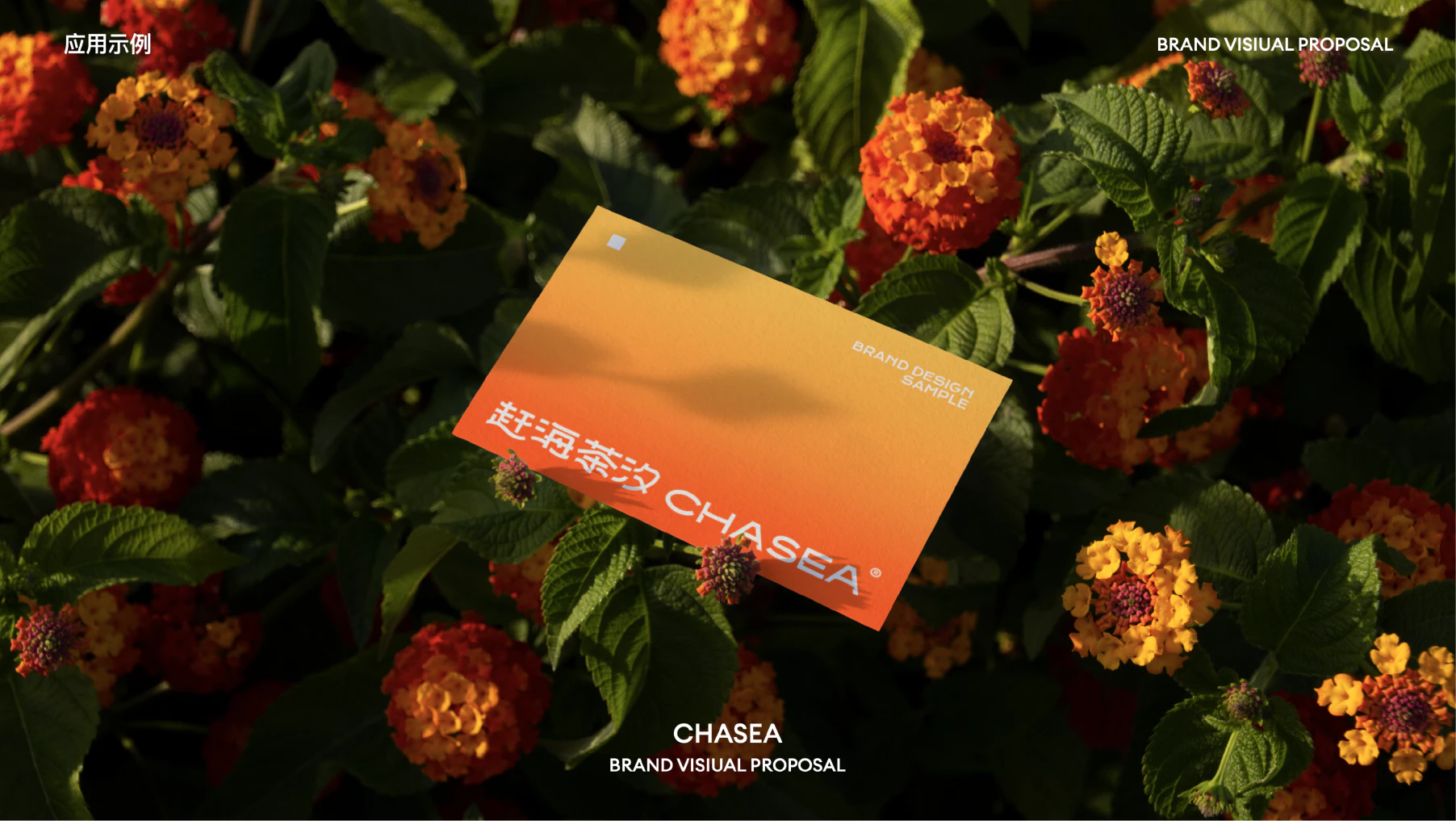 CHA SEA 赶海茶汐 5.3