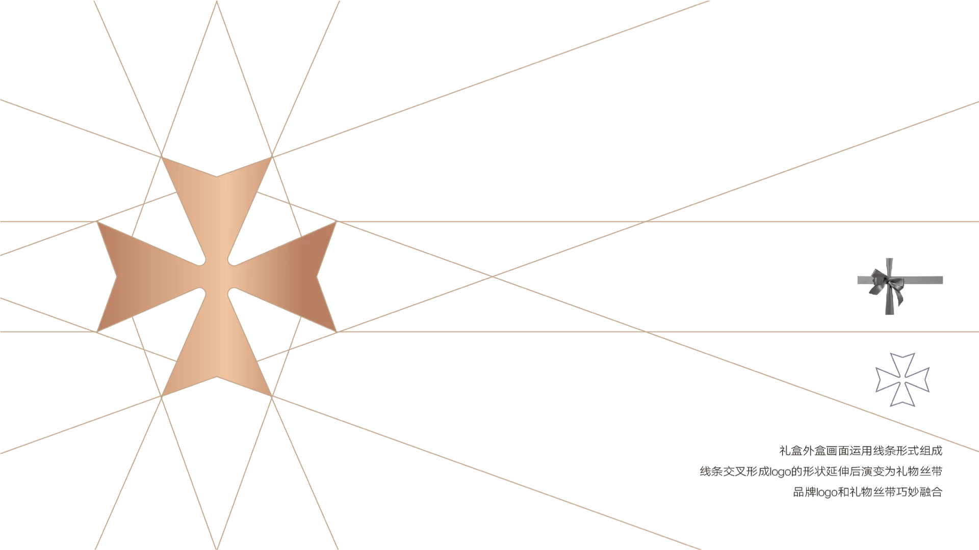 江诗丹顿丨会员礼设计 6.1