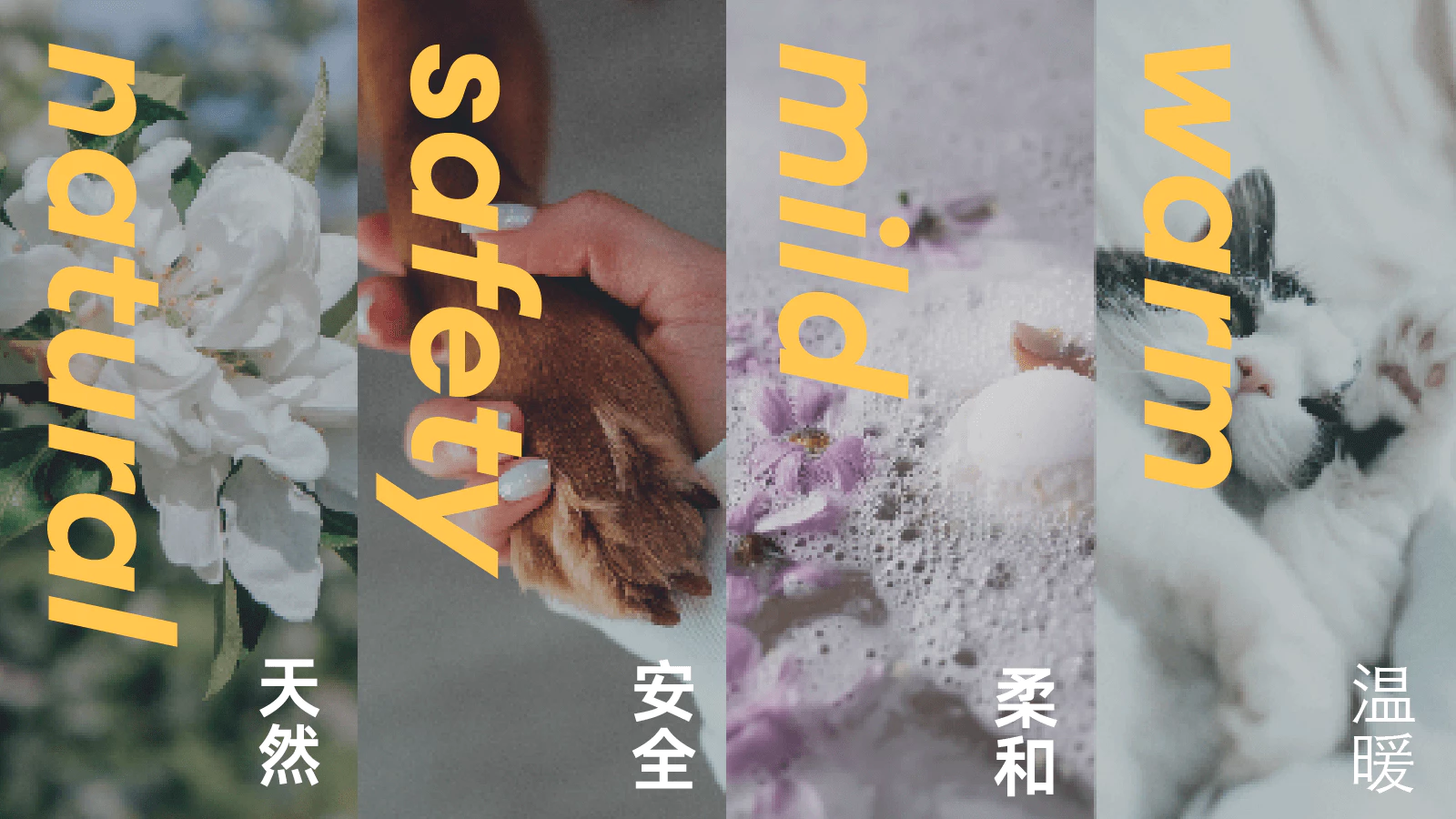 珀克鲁 Paw&Claw 1