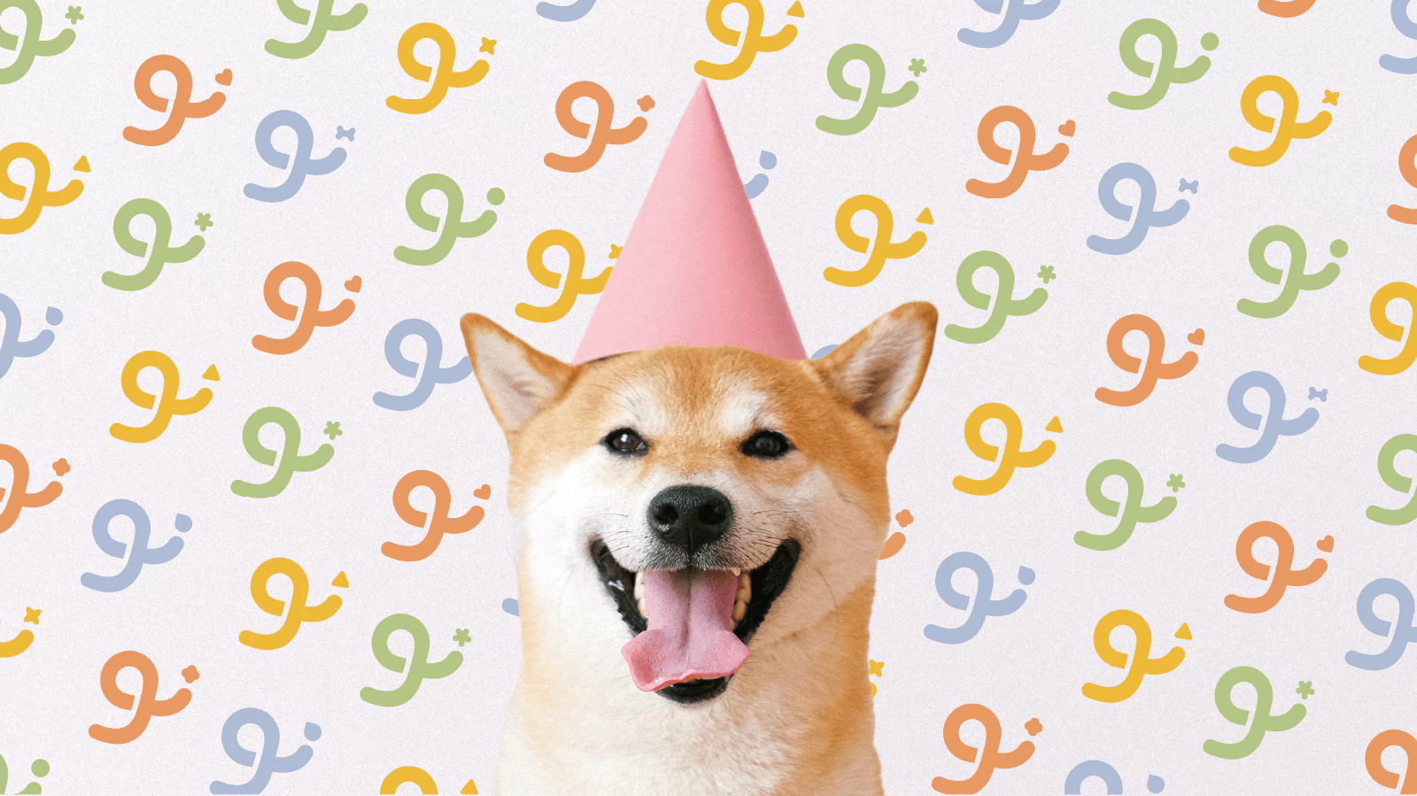 珀克鲁 Paw&Claw 5.1