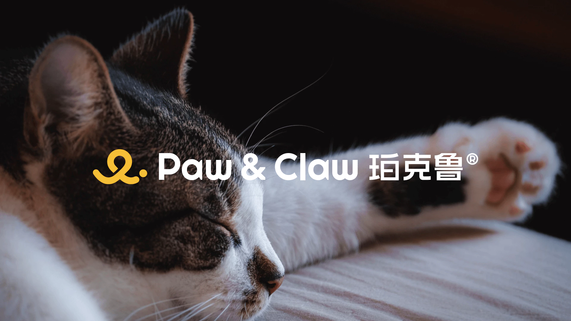 珀克鲁 Paw&Claw
