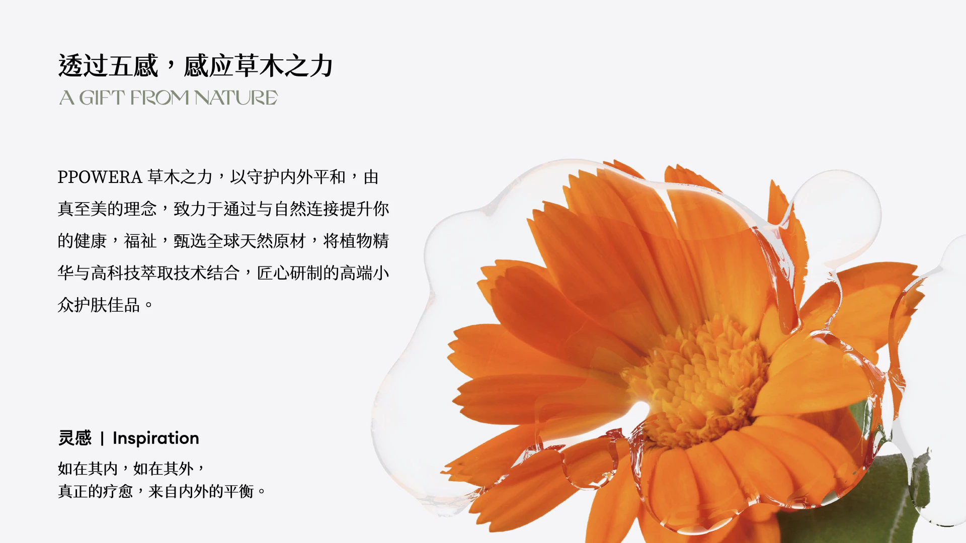 PPOWERA 草木之力 1.1