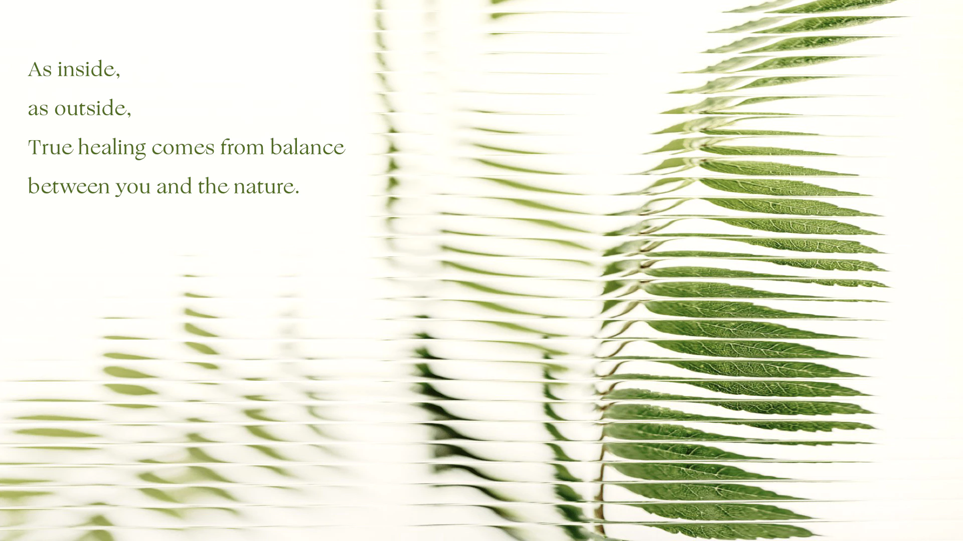 PPOWERA 草木之力 1.2