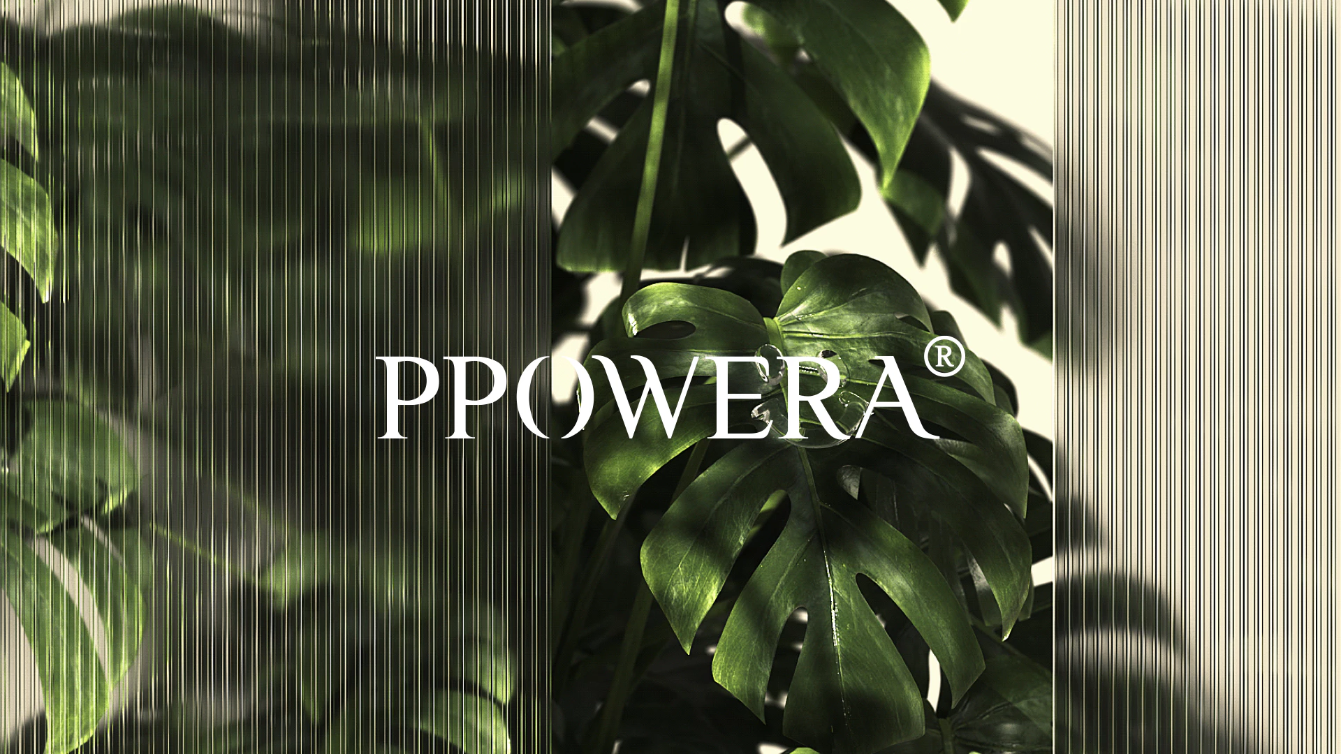 PPOWERA 草木之力 3.1