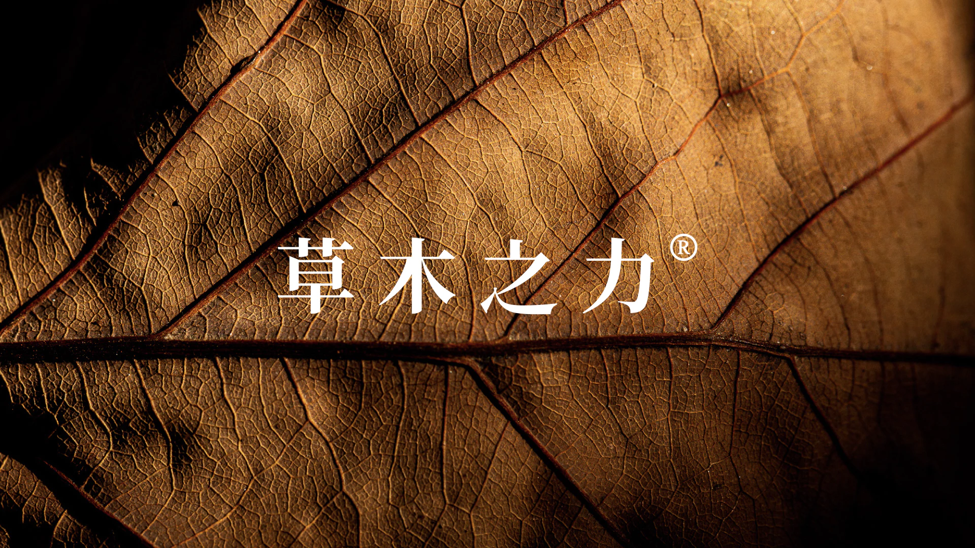 PPOWERA 草木之力 4.1