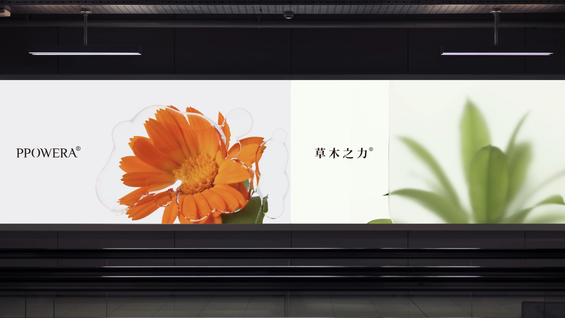 PPOWERA 草木之力 4.2