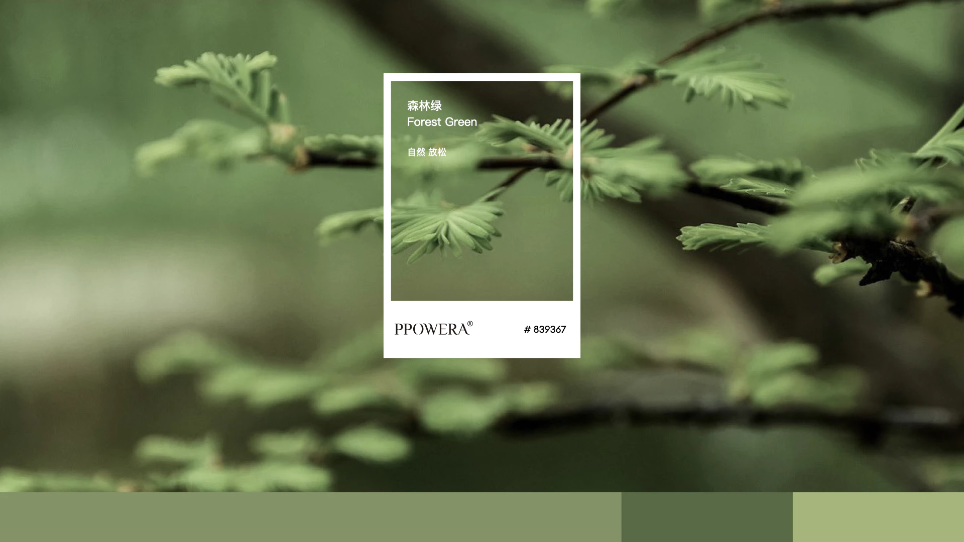 PPOWERA 草木之力 5.2