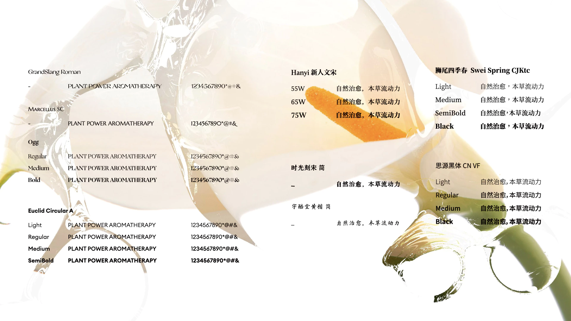 PPOWERA 草木之力 6.2