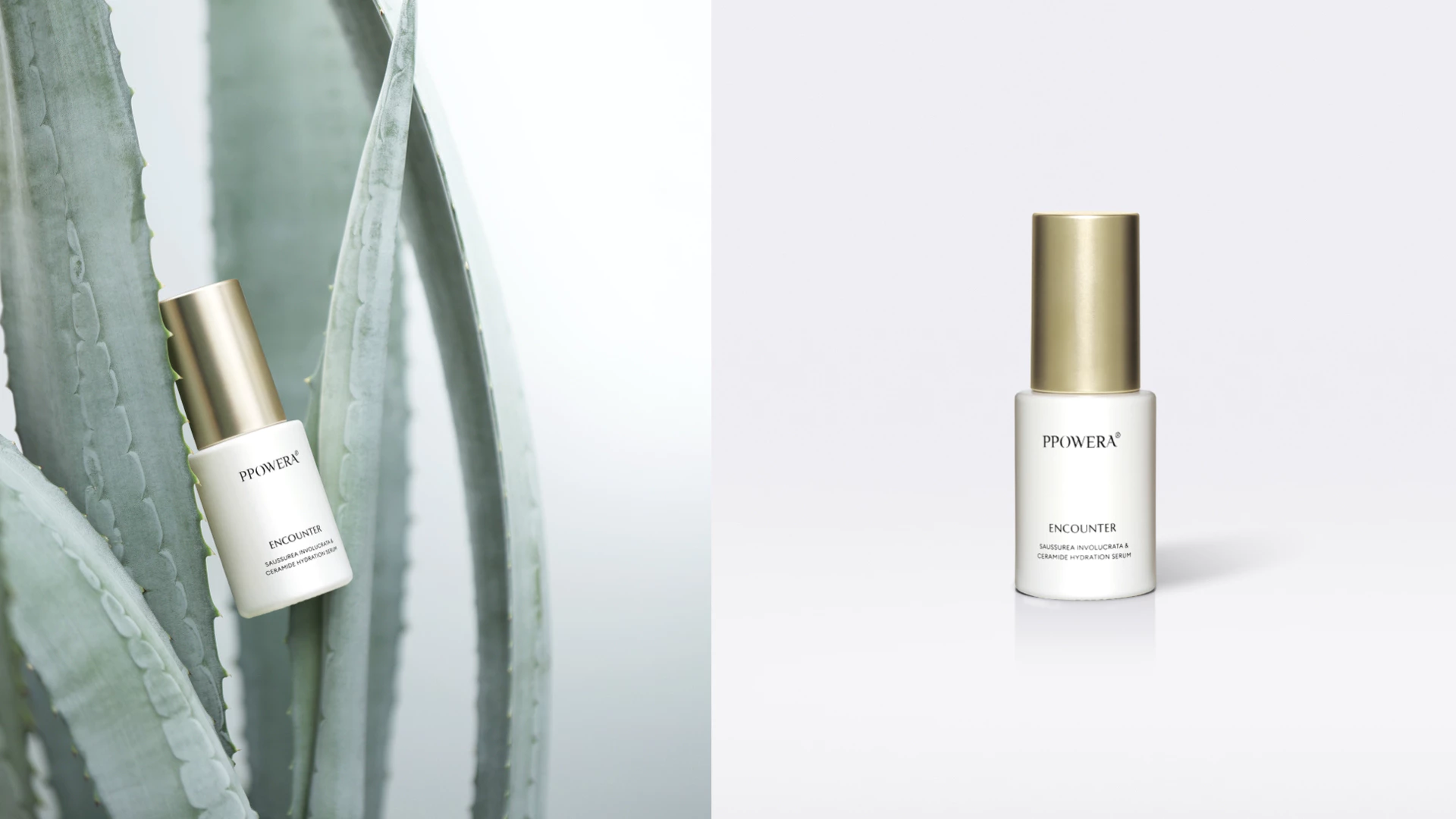 PPOWERA 草木之力 8.1