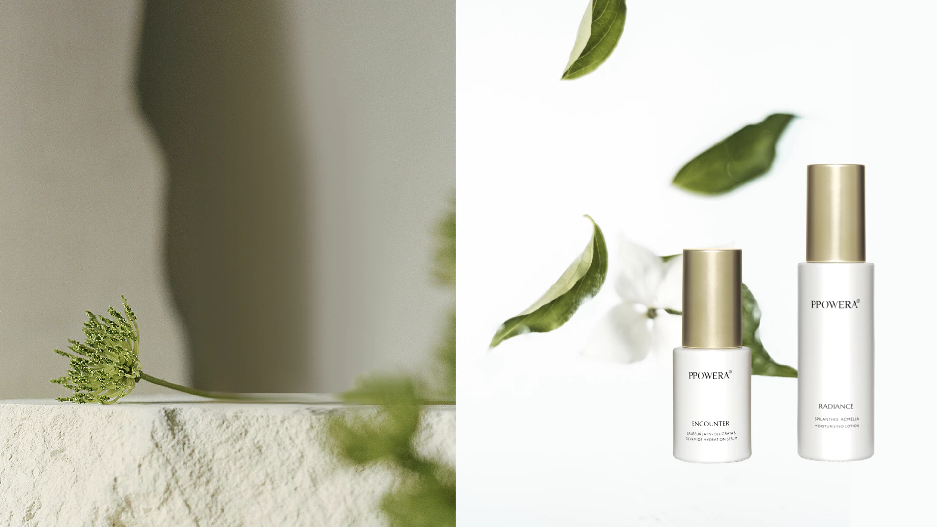 PPOWERA 草木之力 8.2