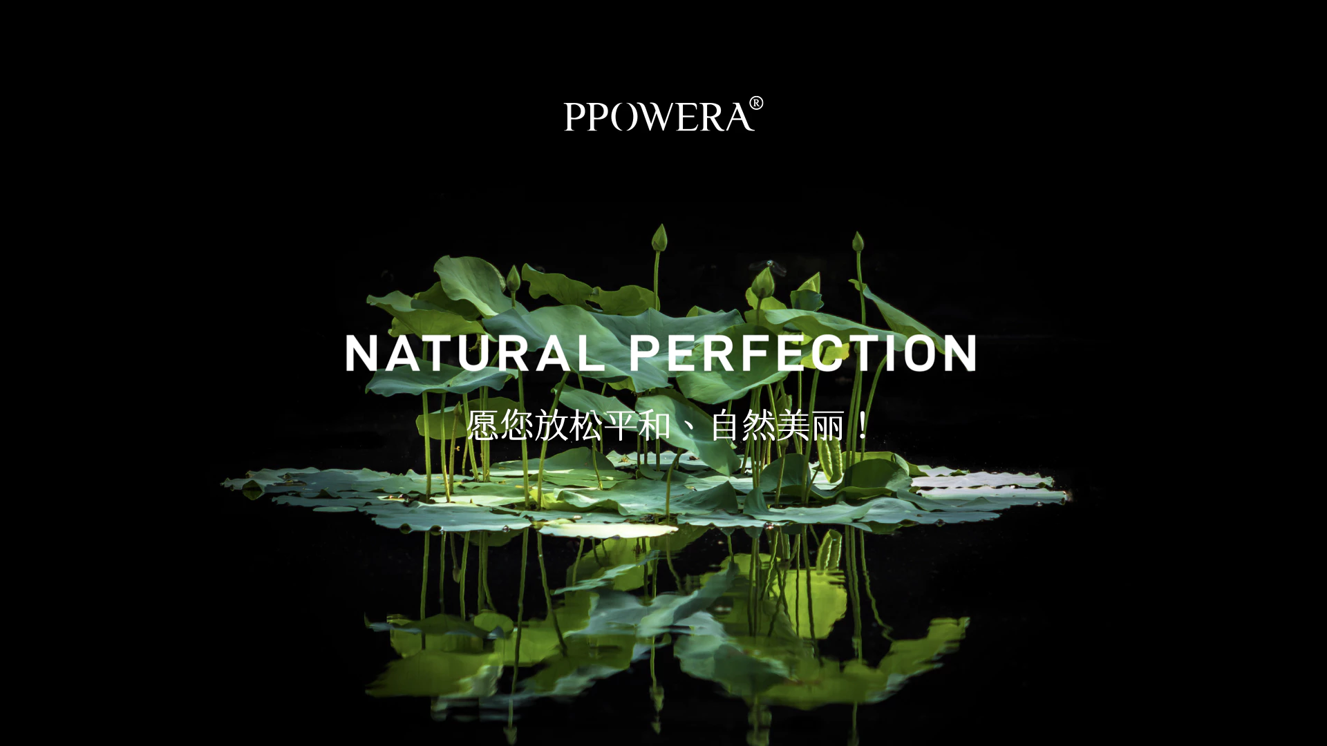 PPOWERA 草木之力 8.4