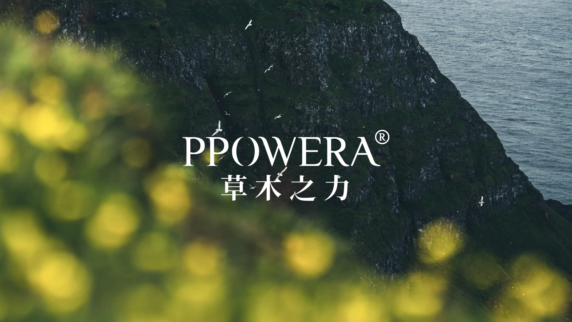 PPOWERA 草木之力