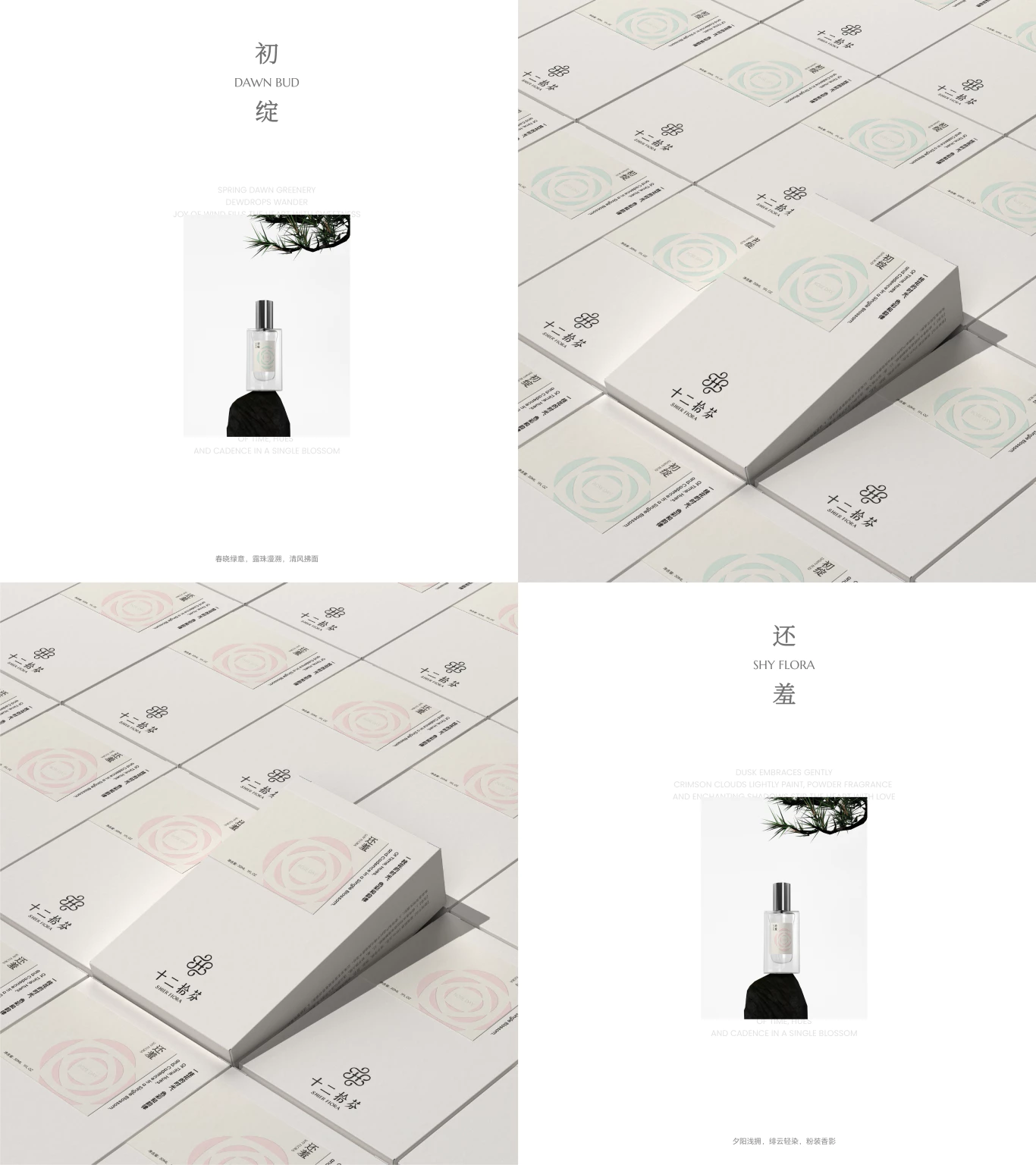 Fiora 十二拾芬 4.1