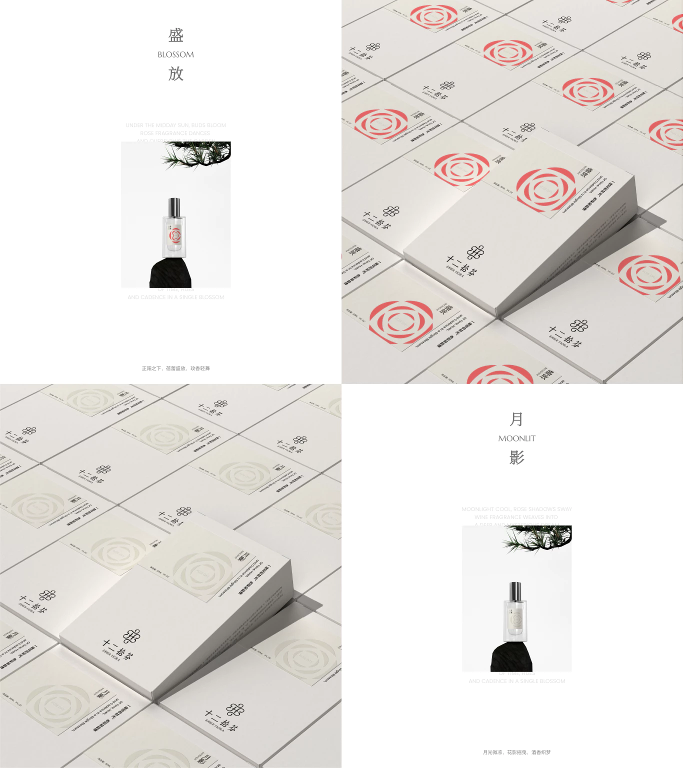 Fiora 十二拾芬 4.2