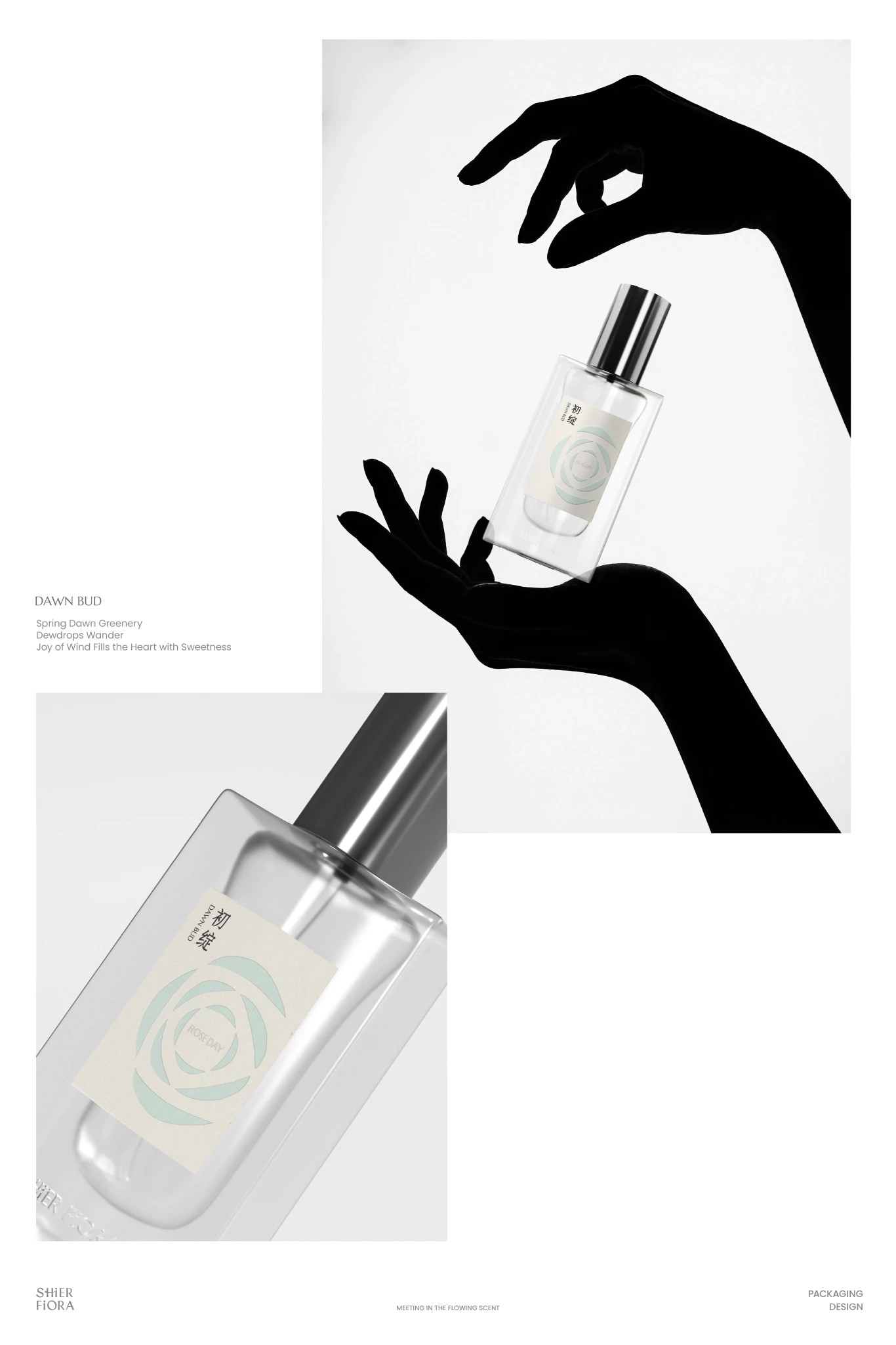 Fiora 十二拾芬 6.1